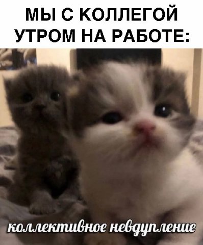 МЫ С КОЛЛЕГОЙ УТРОМ НА РАБОТЕ: коллективное невдупление