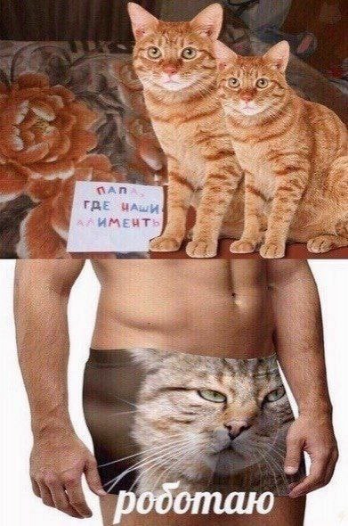 att родотаю