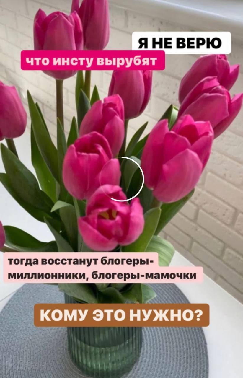 _ЯНЕ ВЕРЮ что инсту вырубят тогда восстанут блогеры- миллионники, блогеры-мамочки КОМУ ЭТО НУЖНО?