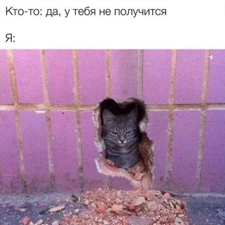 Кто-то: да, у тебя не получится Я