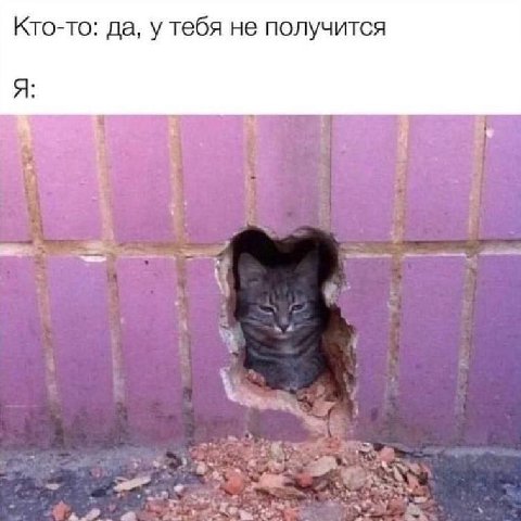Кто-то: да, у тебя не получится Я