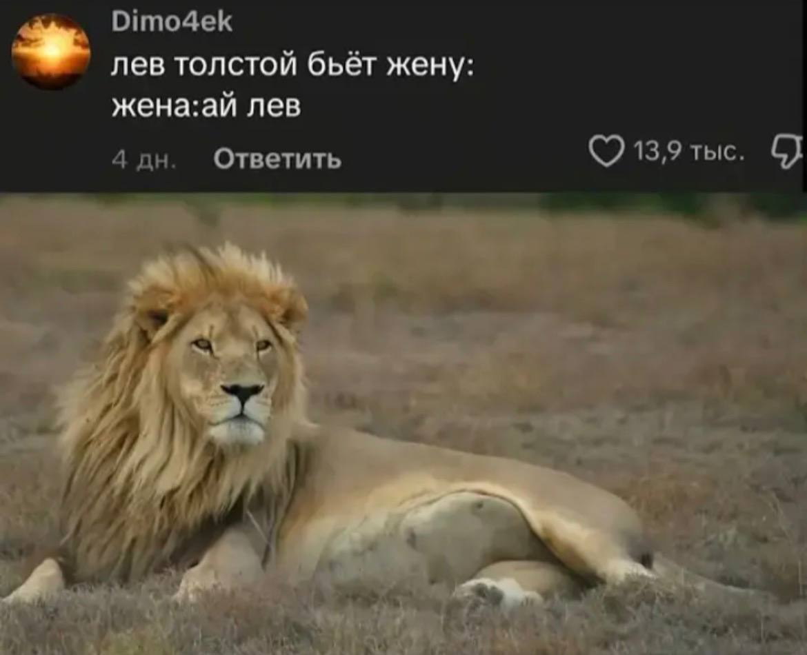 Dimo4ek лев толстой бьёт жену жена:аи лев 4 Ответить 13,9 тыс.