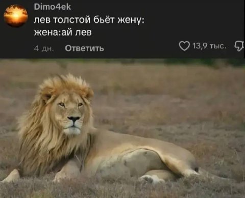 Dimo4ek лев толстой бьёт жену жена:аи лев 4 Ответить 13,9 тыс.