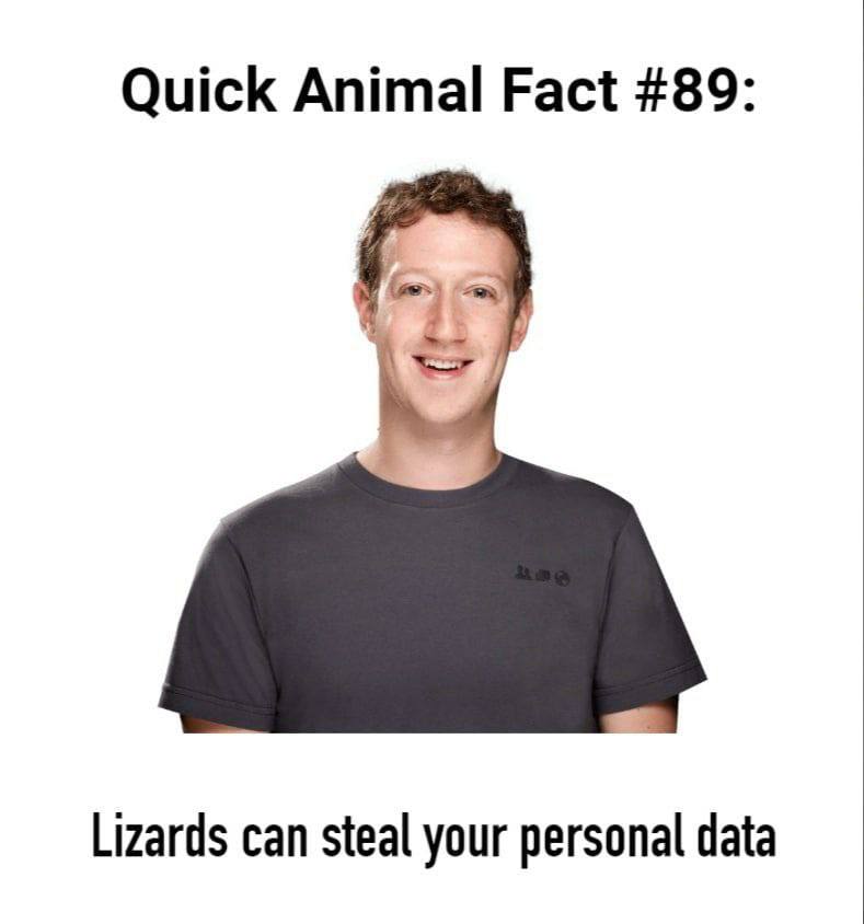 Quick Animal Fact #89: Lizards can steal your personal data
