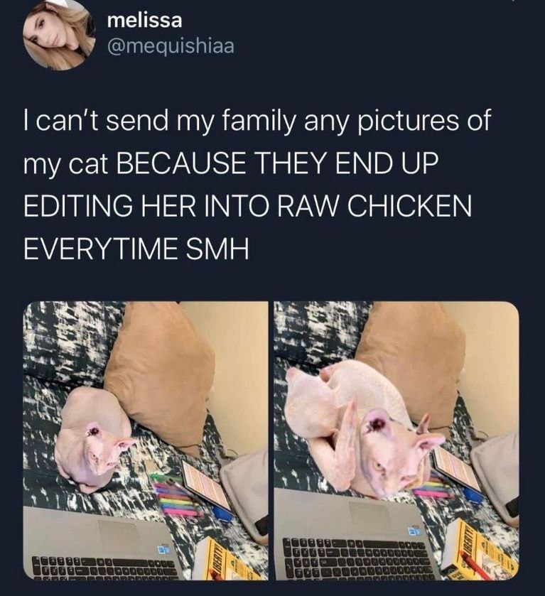 melissa @medquishiaa send my family any pictures of my cat BECAUSE THEY END UP EDITING HER INTO RAW CHICKEN EVERYTIME SMH