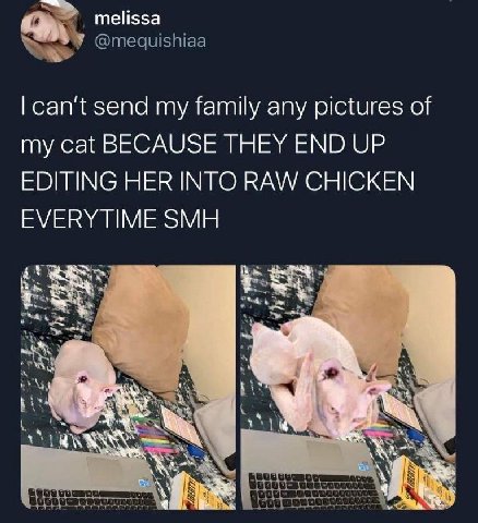 melissa @medquishiaa send my family any pictures of my cat BECAUSE THEY END UP EDITING HER INTO RAW CHICKEN EVERYTIME SMH