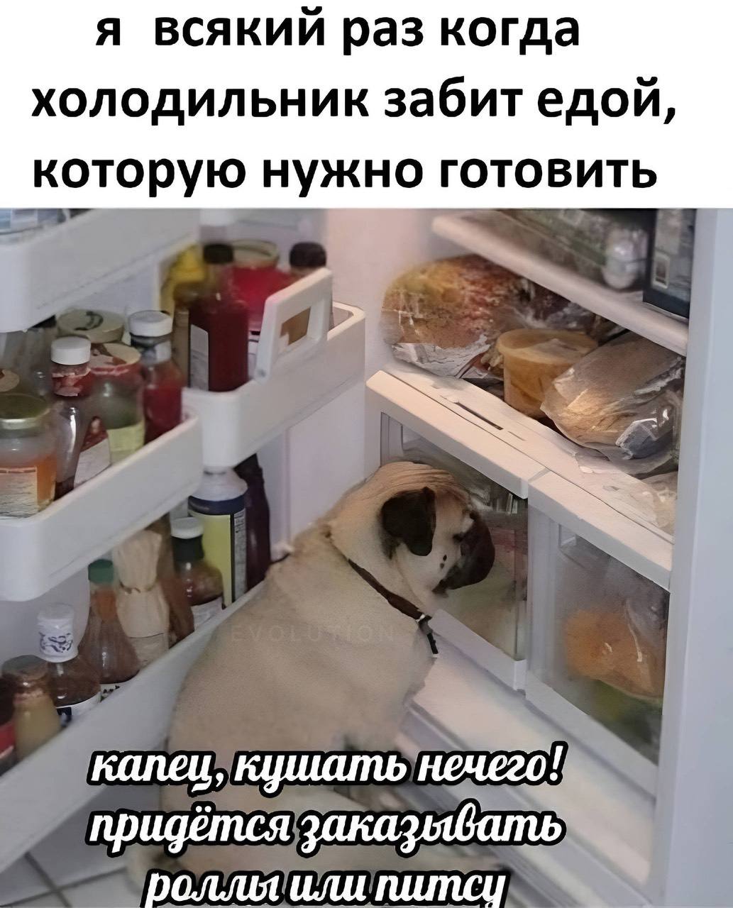 я всякий раз когда холодильник забит едой, которую нужно готовить капец, кушать нечего! придётся заказявать или питси