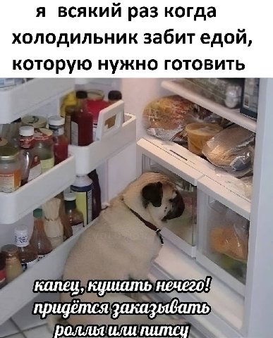 я всякий раз когда холодильник забит едой, которую нужно готовить капец, кушать нечего! придётся заказявать или питси