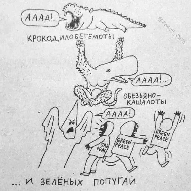 (АААА KPOKOA, ObE3 KAWAAOT AAAA [0 ЗЕЛЁНЫХ ПОПУГАЙ