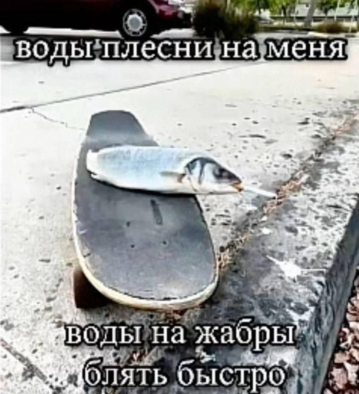 ВОДЫ на жабры JIATb быстро