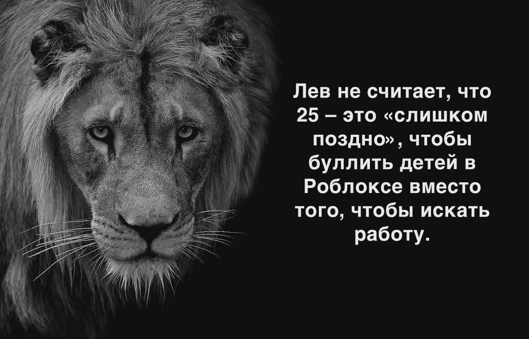 Лев не считает, что 25 это «слишком поздно», чтобы буллить детей в Роблоксе вместо того, чтобы искать работу.