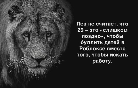 Лев не считает, что 25 это «слишком поздно», чтобы буллить детей в Роблоксе вместо того, чтобы искать работу.