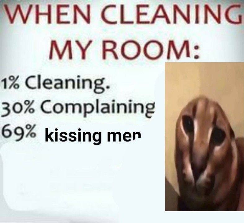 WHEN CLEANING MY ROOM: 1% Cleaning. 30% Complaining 69% kissing тел