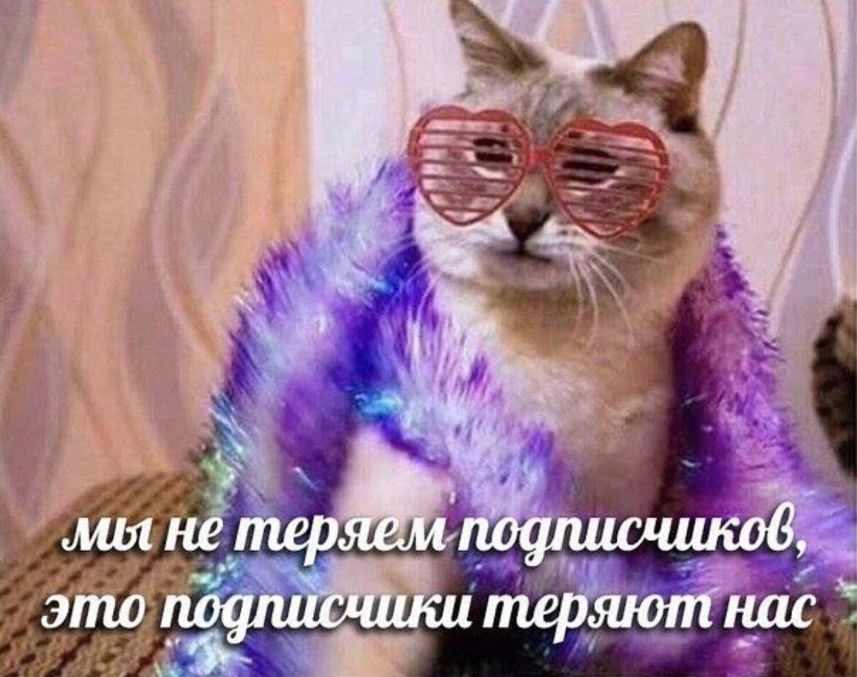 ANY Mot He теряём подписчиков, это подписчики теряют нас
