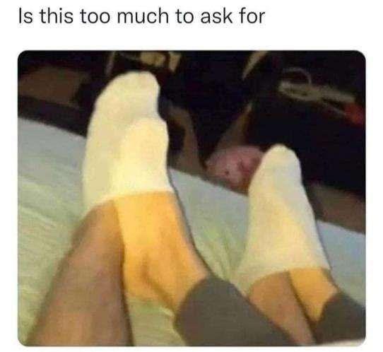 Is this too much to ask for