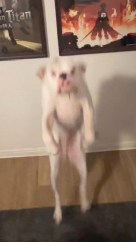 4 4