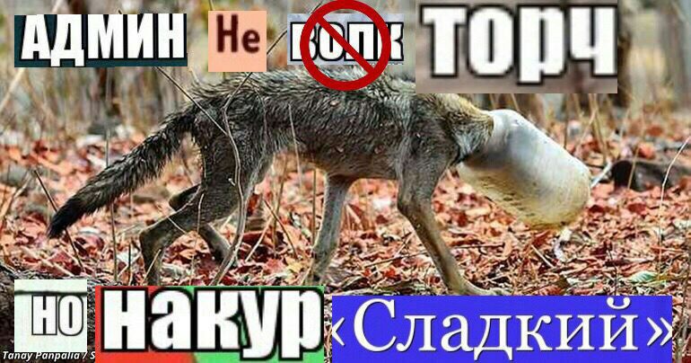 и iN oth at a an онак Тапау Рапрапа Сладкий»