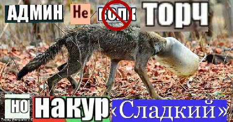 и iN oth at a an онак Тапау Рапрапа Сладкий»