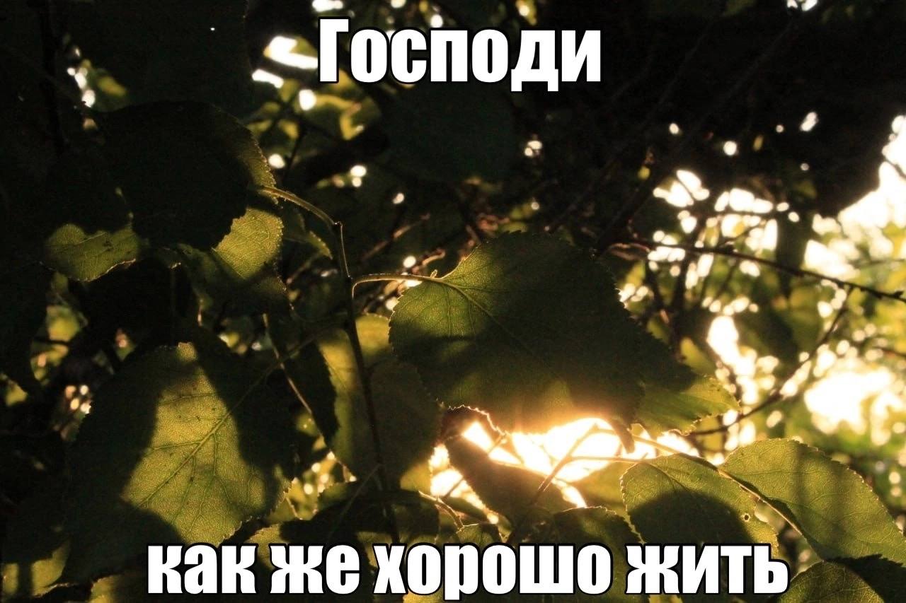 «Господи a on 9 как же хорошо жить