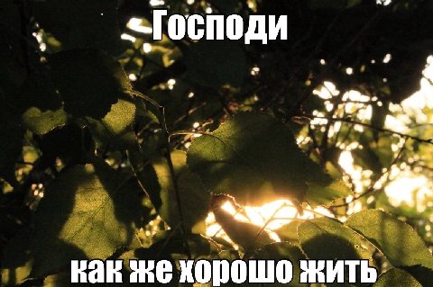 «Господи a on 9 как же хорошо жить