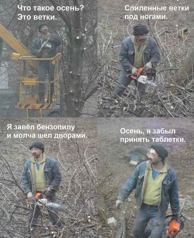 Что такое осень? Спиленные ветки Это ветки. под ногами. и Я завёл бензопилу Осень, я забыл и молча шел дворами. принять таблетки. 1