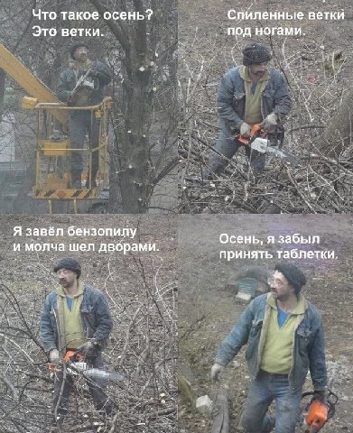Что такое осень? Спиленные ветки Это ветки. под ногами. и Я завёл бензопилу Осень, я забыл и молча шел дворами. принять таблетки. 1
