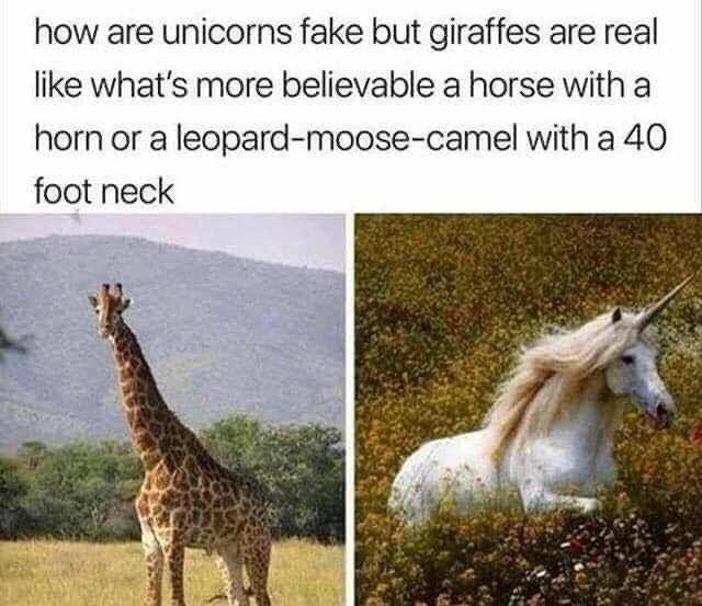 how are unicorns fake but giraffes are real like more believable a horse with a horn or a leopard-moose-camel with a 40 foot neck