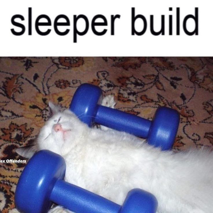 sleeper build i,