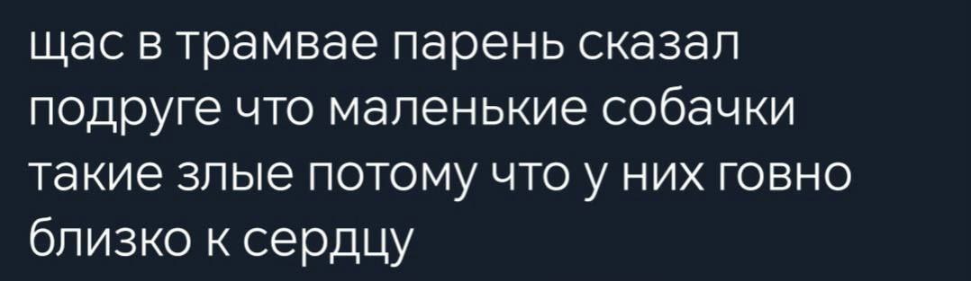 щас в трамвае парень сказал подруге что маленькие собачки такие злые потому что у них говно близко к сердцу