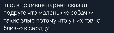 щас в трамвае парень сказал подруге что маленькие собачки такие злые потому что у них говно близко к сердцу