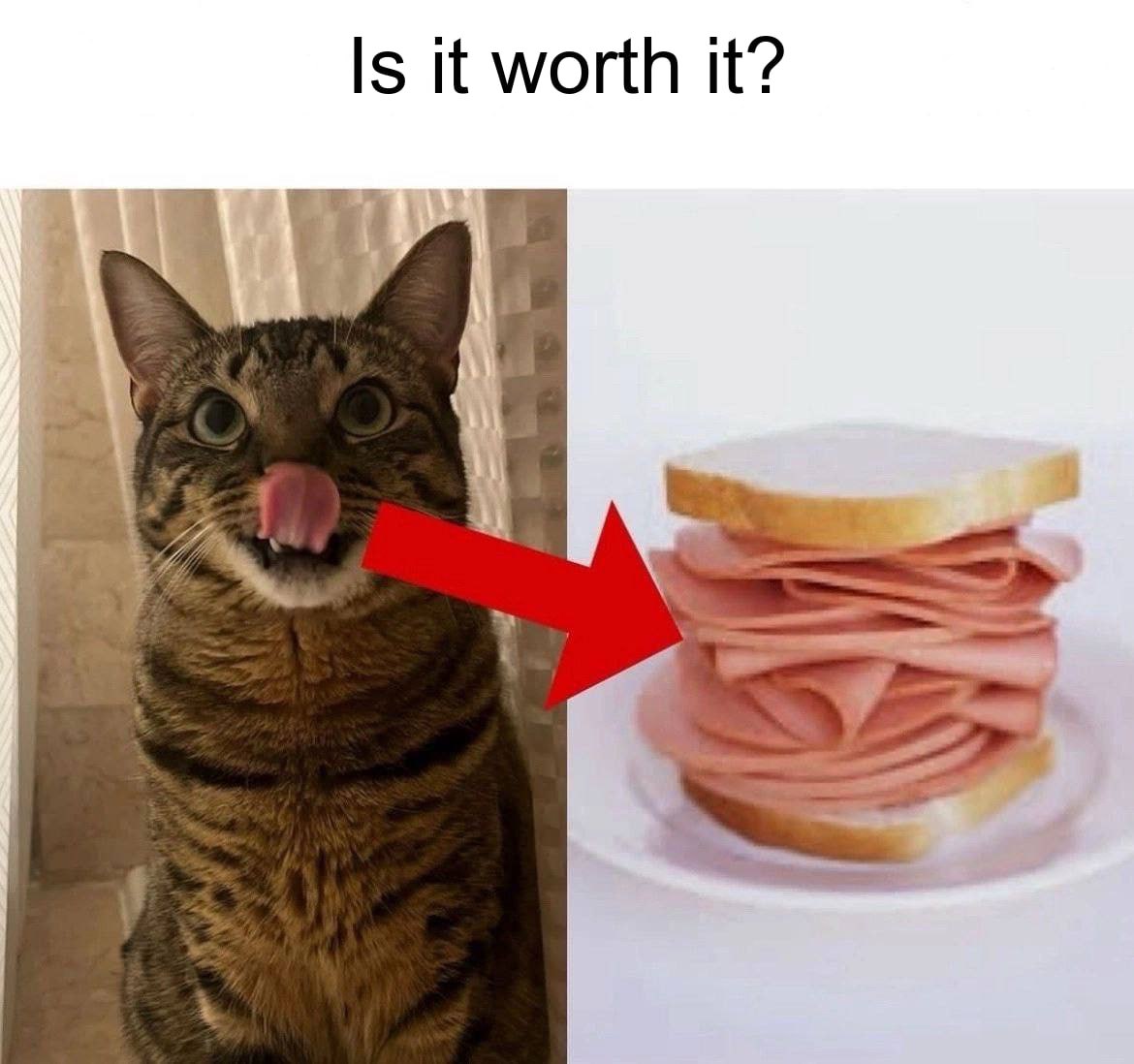 Is it worth it? A