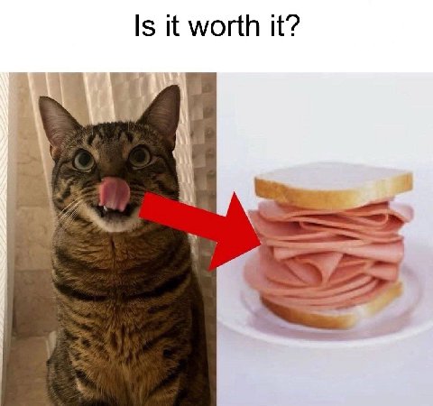 Is it worth it? A