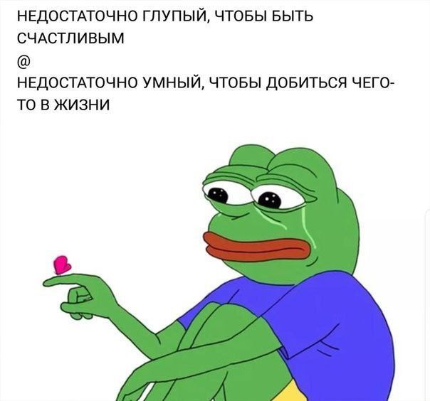 НЕДОСТАТОЧНО ГЛУПЫЙ, ЧТОБЫ БЫТЬ СЧАСТЛИВЫМ НЕДОСТАТОЧНО УМНЫЙ, ЧТОБЫ ДОБИТЬСЯ ЧЕГО- ТО В ЖИЗНИ