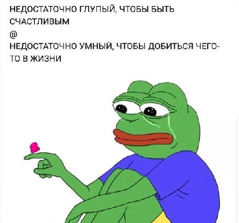 НЕДОСТАТОЧНО ГЛУПЫЙ, ЧТОБЫ БЫТЬ СЧАСТЛИВЫМ НЕДОСТАТОЧНО УМНЫЙ, ЧТОБЫ ДОБИТЬСЯ ЧЕГО- ТО В ЖИЗНИ
