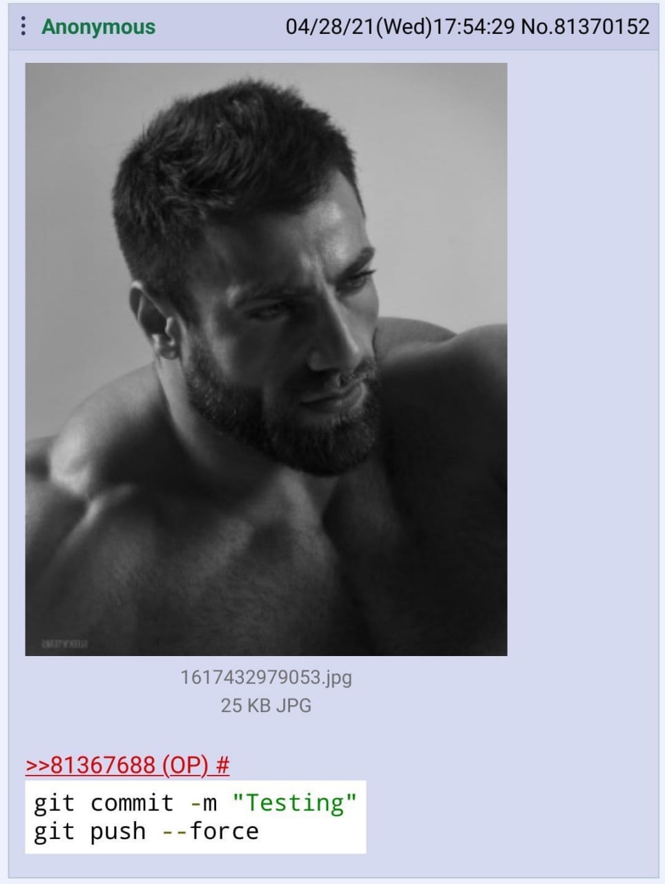 Anonymous 04/28/21(Wed)17:54:29 No.81370152 1617432979053.jpg 25 JPG >>81367688 git commit "Testing" git push --force