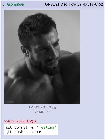 Anonymous 04/28/21(Wed)17:54:29 No.81370152 1617432979053.jpg 25 JPG >>81367688 git commit "Testing" git push --force