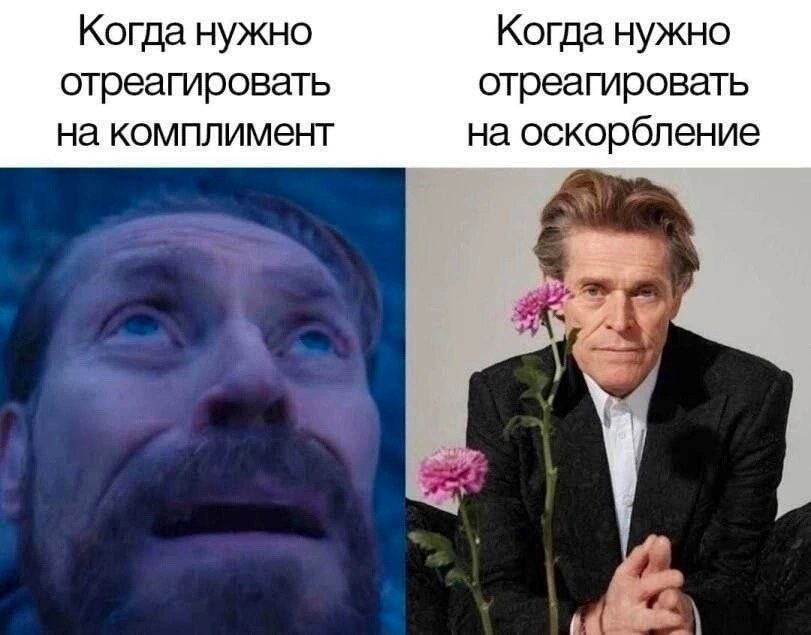 Когда нужно Когда нужно отреагировать отреагировать на комплимент на оскорбление