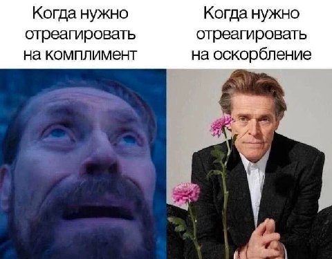 Когда нужно Когда нужно отреагировать отреагировать на комплимент на оскорбление
