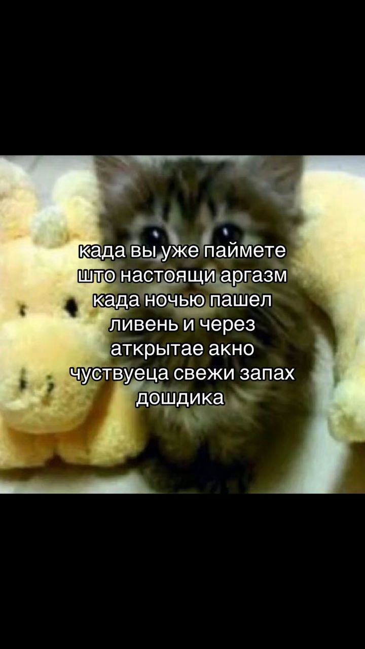 када вы уже паймете што настоящи аргазм Када ночью пашел ливень и через аткрытае акно чуствуеца свежи запах дошдика 4