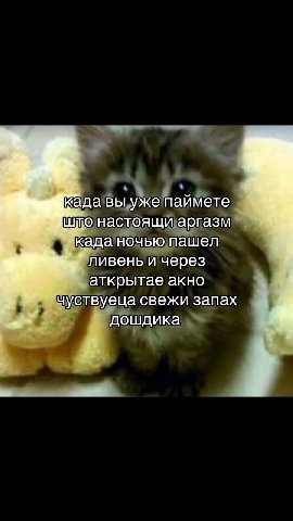 када вы уже паймете што настоящи аргазм Када ночью пашел ливень и через аткрытае акно чуствуеца свежи запах дошдика 4
