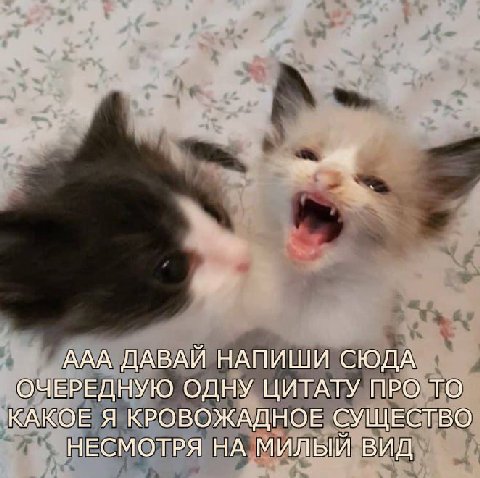 ААА ДАВАИ НАПИШИ СЮДА ОЧЕРЕДНУЮ ОДНУ ЦИТАТУ ПРО ТО КАКОЕ Я КРОВОЖАДНОЕ СУЩЕСТВО НЕСМОТРЯ НА Милый ВИД