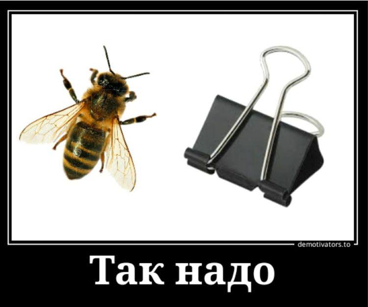 Так надо