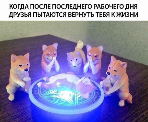 КОГДА ПОСЛЕ ПОСЛЕДНЕГО РАБОЧЕГО ДНЯ ДРУЗЬЯ ПЫТАЮТСЯ ВЕРНУТЬ ТЕБЯ К ЖИЗНИ