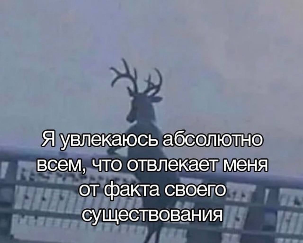 Я увлекаюсь абсолютно всем, что отвлекает меня от факта своего существования