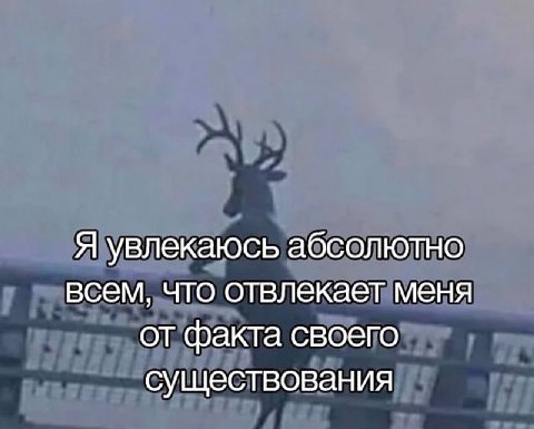 Я увлекаюсь абсолютно всем, что отвлекает меня от факта своего существования