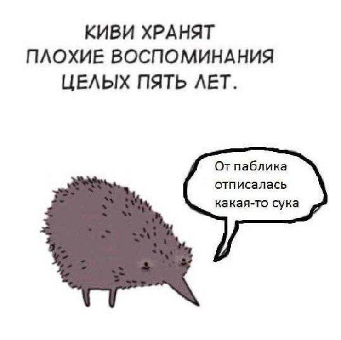 КИВИ ХРАНЯТ ПЛОХИЕ ВОСПОМИНАНИЯ ЦЕЛЫХ ПЯТЬ ЛЕТ. От паблика отписалась какая-то сука
