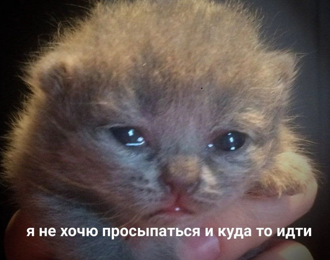 я не хочю просыпаться и куда то идти