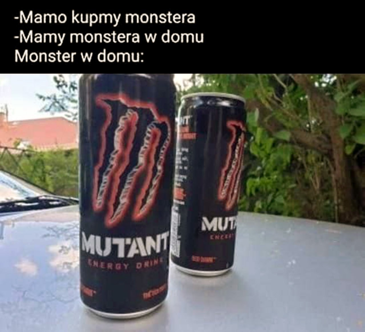 -Мато Кирту monstera -Мату monstera domu Monster domu: