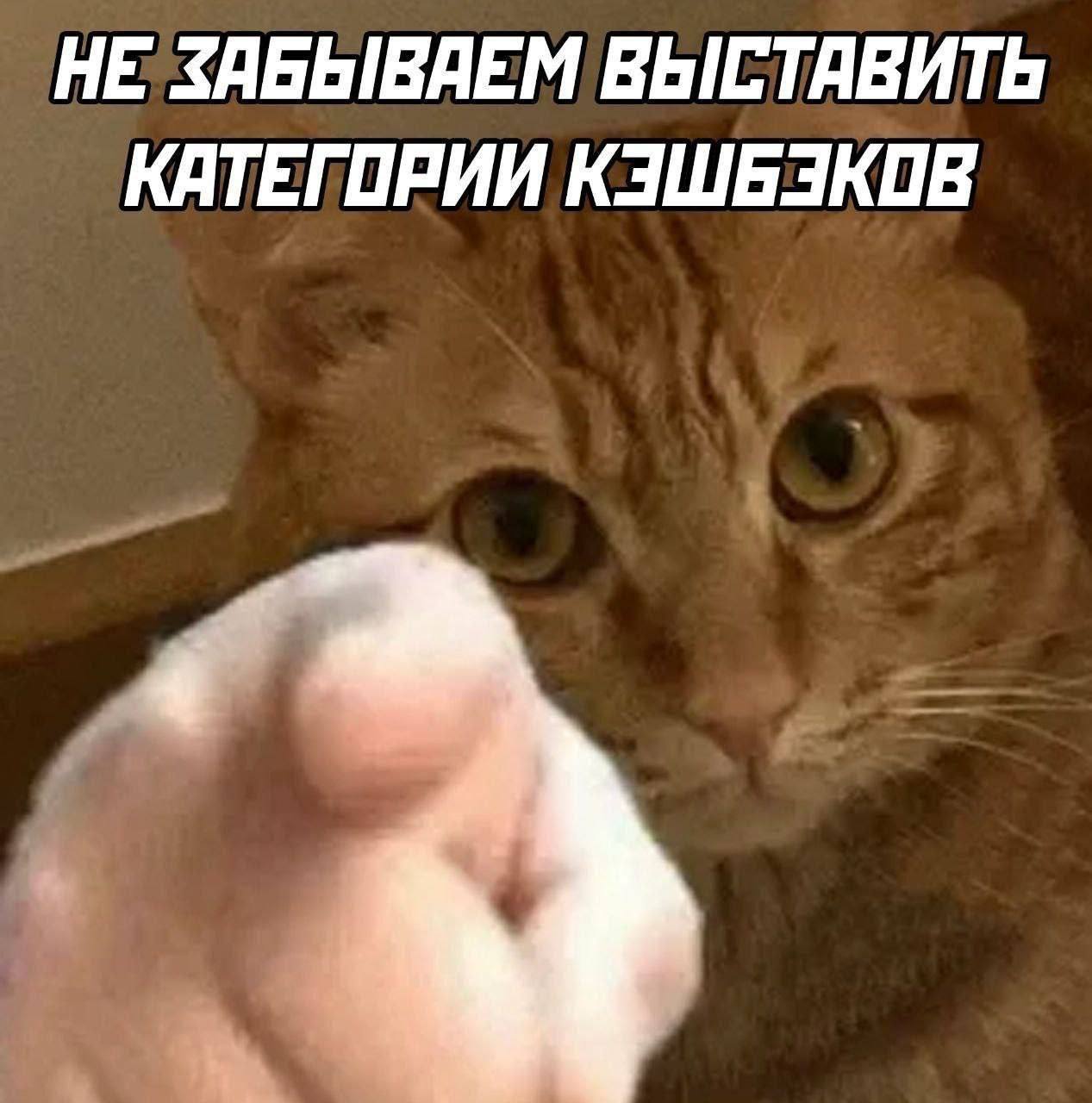 НЕ ЗАБЫВАЕМ ВЫСТАВИТЬ КАТЕГОРИИ