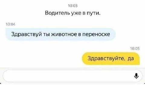 10:03 Водитель уже в пути. 10:04 Здравствуй ты животное в переноске 10:05 Здравствуйте, да